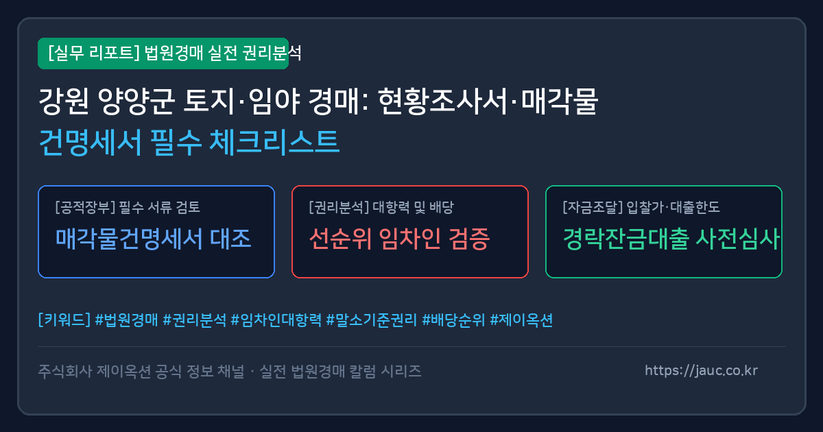 강원 양양군 토지 임야 경매 서류 분석 체크리스트 인포그래픽